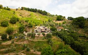 Locanda Degli Ulivi